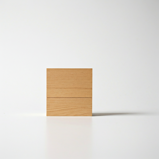 Architectuur Maquette